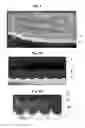 Fig. 02 - STRESS-INDUCED BANDGAP-SHIFTED SEMICONDUCTOR PHOTOELECTROLYTIC/PHOTOCATALYTIC/PHOTOVOLTAIC SURFACE AND METHOD FOR MAKING SAME
