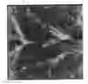 Fig. 01 - Semiconductor structure having multilayer of polysilicon and display panel applied with the same