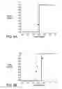 Fig. 07 - Structure for robust cable connectivity test receiver for high-speed data receiver