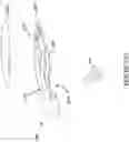 Fig. 32 - Security system for preventing unauthorized removal of merchandise