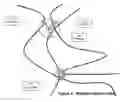 Fig. 07 - METHOD AND SYSTEM FOR PROVIDING INFORMATION TO A TRANSPORTATION VEHICLE ON THE PRESENCE OF PASSENGERS