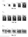 Fig. 02 - Rendering of data sets comprising multiple-resolution samples