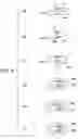 Fig. 06 - Image blur correction device and imaging device furnished therewith
