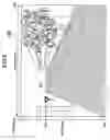 Fig. 07 - Image processing apparatus for detecting an image using object recognition