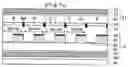Fig. 01 - Transflective display device