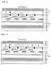 Fig. 06 - Transflective display device