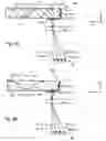 Fig. 09 - Binocular Optical Relay Device