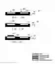 Fig. 09 - Fluidic adaptive lens systems with pumping systems