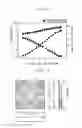 Fig. 09 - Optical package, optical lens and backlight assembly having the same