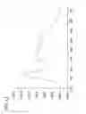Fig. 14 - Luminaire having an aperature light path
