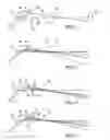 Fig. 02 - X-ray optic with varying focal points