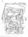Fig. 02 - Peristaltic pump