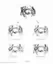 Fig. 09 - Methods for humanizing antibodies and humanized antibodies made thereby