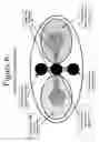 Fig. 07 - MEANS FOR TRANSDERMAL ADMINISTRATION OF NICOTINE