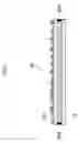 Fig. 07 - OPTICAL SHEET FOR DISPLAY AND METHOD FOR PRODUCING AND PACKAGING THE SAME