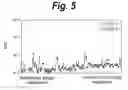 Fig. 06 - INFORMATION RECORDING MEDIUM AND ITS MANUFACTURING METHOD