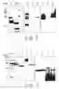 Fig. 02 - Fungal dipeptidyl peptidase IV (DPPIV) enzyme for reagent use