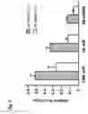 Fig. 09 - Reduction of off-target RNA interference toxicity