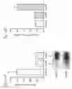 Fig. 14 - Reduction of off-target RNA interference toxicity