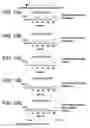 Fig. 11 - Catalyst element and manufacturing method thereof