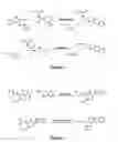 Fig. 04 - ABUSE-RESISTANT AMPHETAMINE PRODRUGS