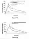 Fig. 58 - ABUSE-RESISTANT AMPHETAMINE PRODRUGS