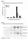 Fig. 04 - Isoxazole derivatives and use thereof