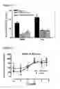Fig. 02 - Compounds having neuroprotective properties