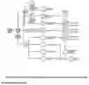 Fig. 01 - ANTIBODY AND METHOD FOR IDENTIFICATION OF DENDRITIC CELLS
