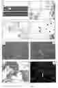 Fig. 04 - ANTIBODY AND METHOD FOR IDENTIFICATION OF DENDRITIC CELLS