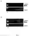 Fig. 08 - ANTIBODY AND METHOD FOR IDENTIFICATION OF DENDRITIC CELLS
