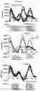 Fig. 07 - Aptamers comprising arabinose modified nucleotides