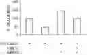 Fig. 01 - Compositions and methods for preventing and treating cancer via modulating UBE1L, ISG15 and/or UBP43