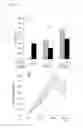 Fig. 04 - ANTIFIBROTIC THERAPY