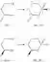 Fig. 70 - Novel Nucleoside Derivatives