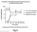 Fig. 08 - Combinations of Superoxide Dismutase Mimetics and Nonsteroidal Analgesic/Anti-Inflammatory Drugs