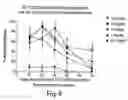 Fig. 09 - Combinations of Superoxide Dismutase Mimetics and Nonsteroidal Analgesic/Anti-Inflammatory Drugs
