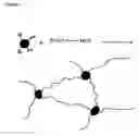 Fig. 02 - Shape memory composites