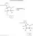 Fig. 06 - Supports for oligomer synthesis