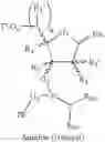 Fig. 08 - Supports for oligomer synthesis