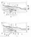 Fig. 05 - Systems and methods for transeptal cardiac procedures, including separable guidewires