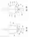 Fig. 21 - Systems and methods for transeptal cardiac procedures, including separable guidewires