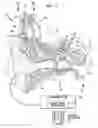 Fig. 02 - Assessing neural survival
