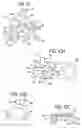 Fig. 08 - Bifurcated stenting appratus and method