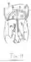 Fig. 22 - Apparatus and method for treating a regurgitant heart valve