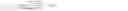 Fig. 06 - Astigmatic intraocular lens
