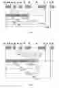 Fig. 12 - Media Player