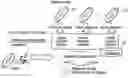 Fig. 01 - Music information retrieval system