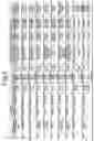 Fig. 06 - Music information retrieval system