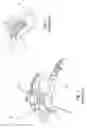Fig. 02 - TRANSFER OF KNOWLEDGE FROM A HUMAN SKILLED WORKER TO AN EXPERT MACHINE - THE LEARNING PROCESS